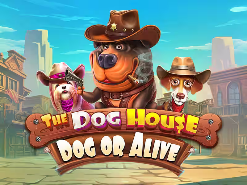 The Dog House - Dog or Alive